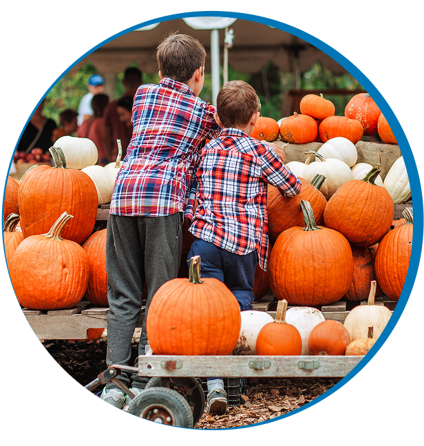 Boys selecting pumpkins at a patch