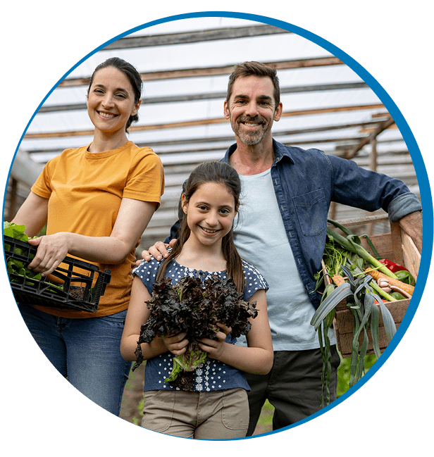 Family harvesting vegetables in greenhouse