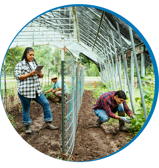 Gardening team tending plants