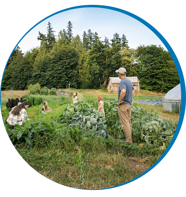 Farm crew tending to crops outdoors