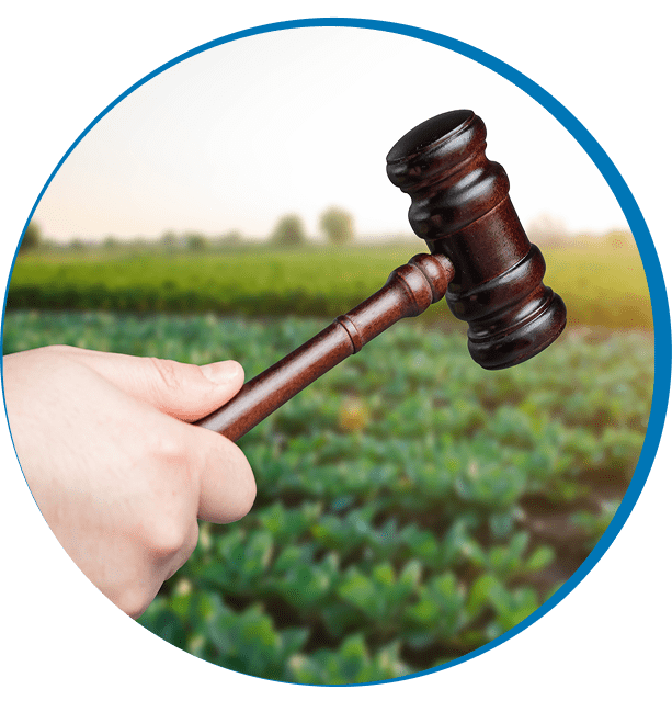 Hand holding gavel over crops