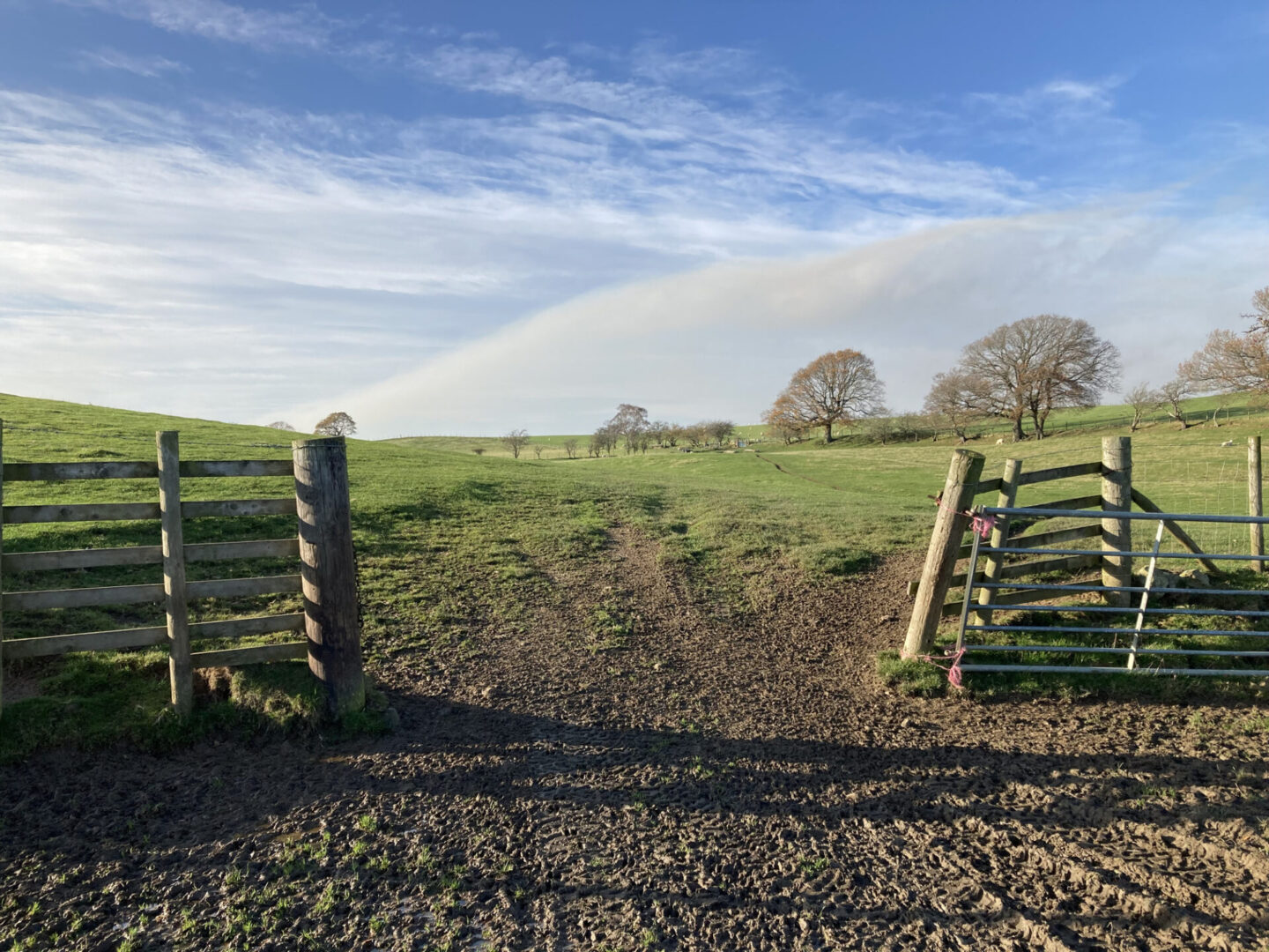 Sunny field with wooden gate open