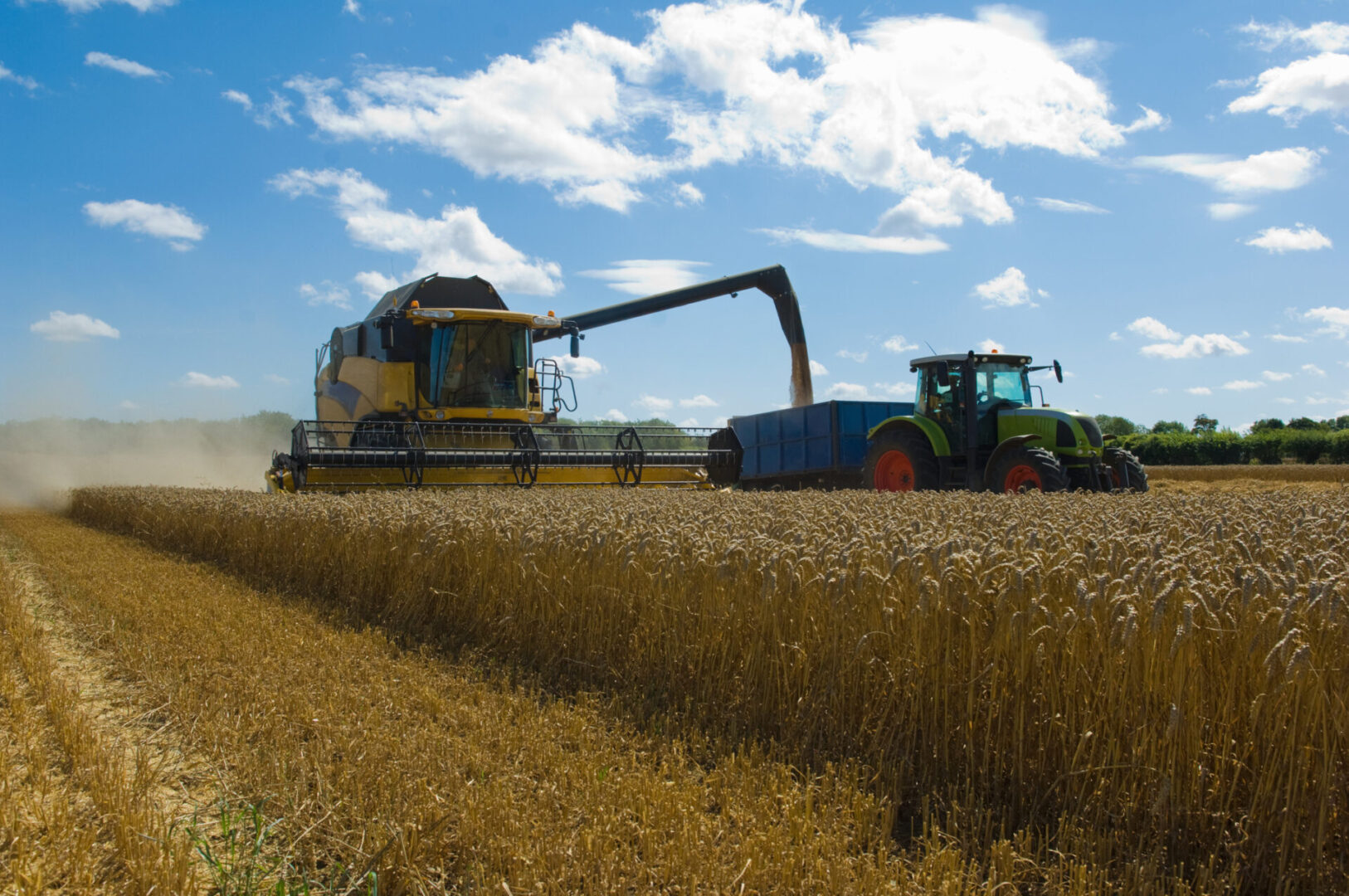 Tractor and harvester harvesting wheat