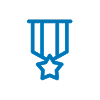 Blue star medal illustration