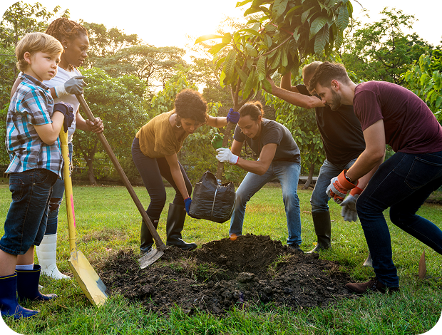 Group planting tree in park