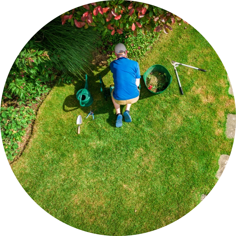 Person gardening in lush green lawn