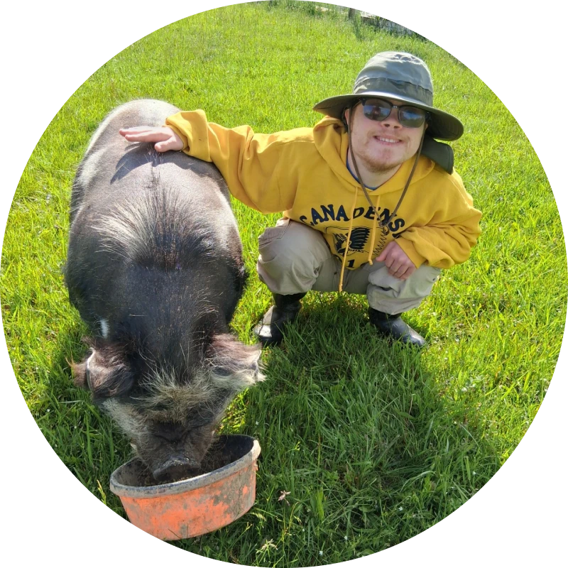 Smiling man beside feeding pig