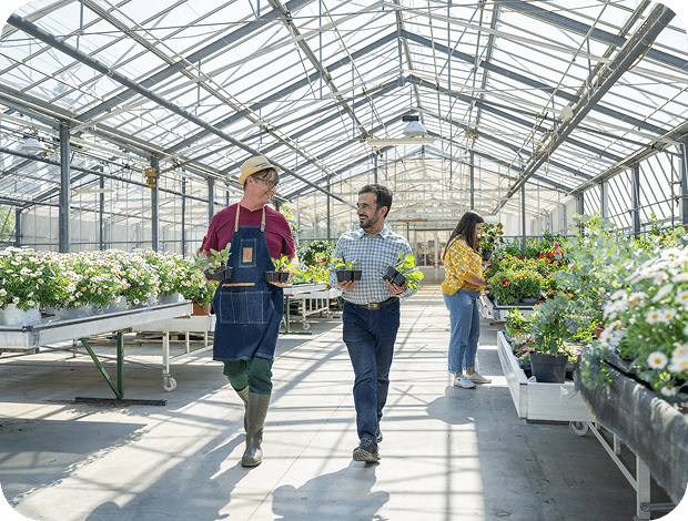 Greenhouse workers tending to plants
